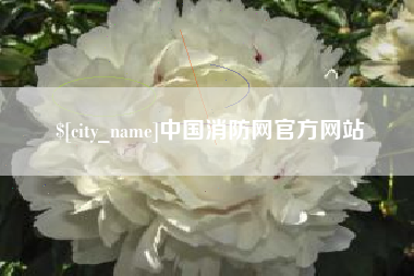 香港中国消防网官方网站