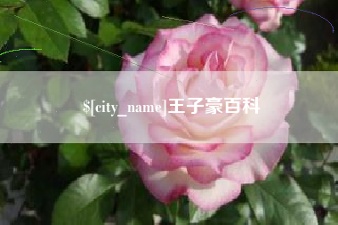 香港王子豪百科