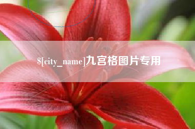 香港九宫格图片专用