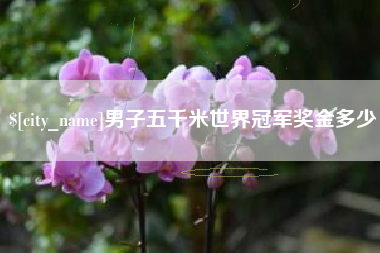 香港男子五千米世界冠军奖金多少
