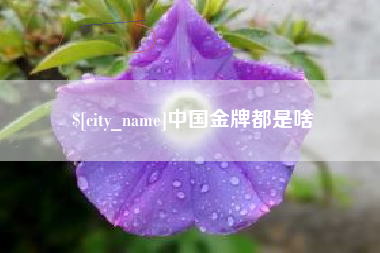 香港中国金牌都是啥
