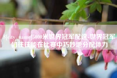香港5000米世界冠军配速-世界冠军们往往能在比赛中巧妙地分配体力