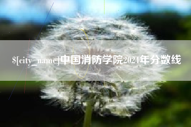香港中国消防学院2024年分数线