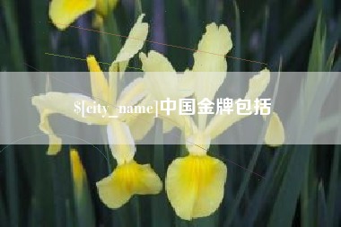 香港中国金牌包括