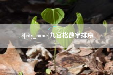 香港九宫格数字排序