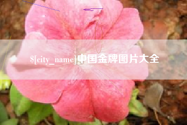 香港中国金牌图片大全