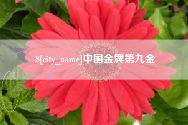 香港中国金牌第九金