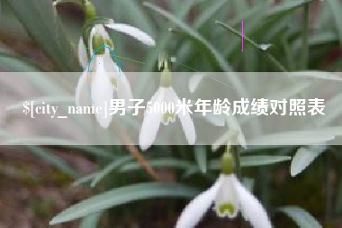 香港男子5000米年龄成绩对照表