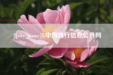 香港1.中国执行信息公开网