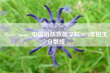 香港中国消防救援学院2024年招生分数线