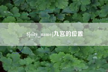 香港九宫的位置