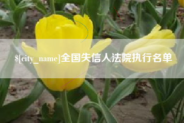 香港全国失信人法院执行名单