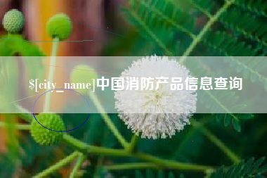 香港中国消防产品信息查询