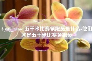 香港五千米比赛领跑员是什么-他们就是五千米比赛领跑员