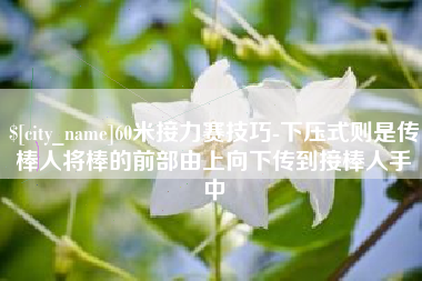 香港60米接力赛技巧-下压式则是传棒人将棒的前部由上向下传到接棒人手中