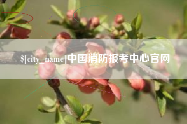 香港中国消防报考中心官网