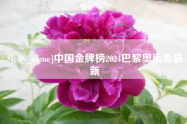 香港中国金牌榜2024巴黎奥运会最新