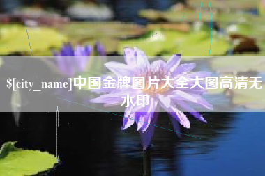 香港中国金牌图片大全大图高清无水印