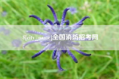 香港全国消防招考网