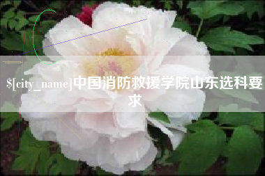 香港中国消防救援学院山东选科要求