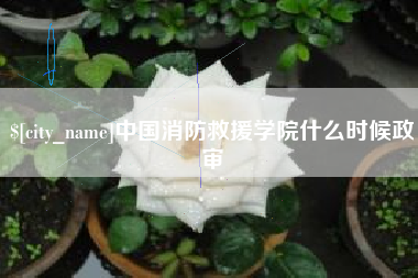 香港中国消防救援学院什么时候政审