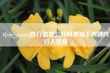 香港执行信息公开网查询不到被执行人信息