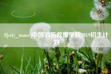 香港中国消防救援学院2019招生计划