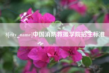 香港中国消防救援学院招生标准
