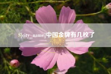 香港中国金牌有几枚了