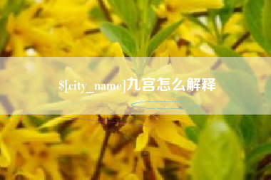 香港九宫怎么解释