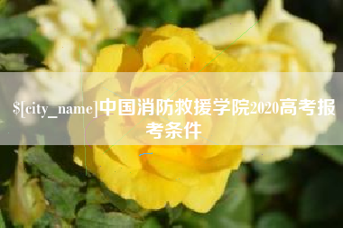 香港中国消防救援学院2020高考报考条件