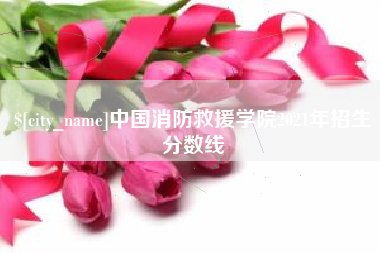 香港中国消防救援学院2021年招生分数线