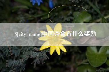 香港中国夺金有什么奖励