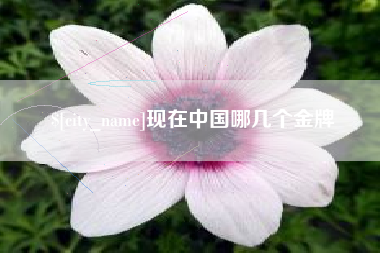 香港现在中国哪几个金牌