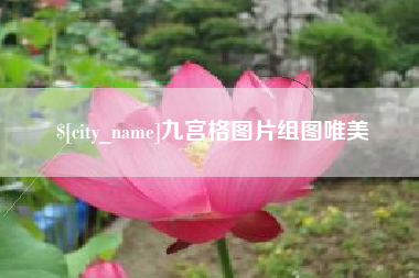 香港九宫格图片组图唯美