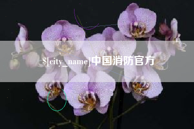 香港中国消防官方