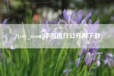 香港中国执行公开网下载