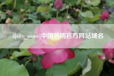 香港中国消防官方网站域名