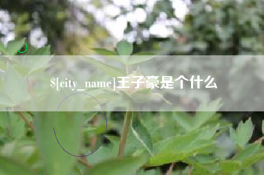 香港王子豪是个什么