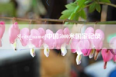 香港中国5000米国家记录