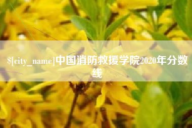 香港中国消防救援学院2020年分数线