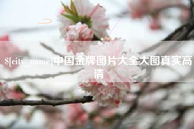 香港中国金牌图片大全大图真实高清