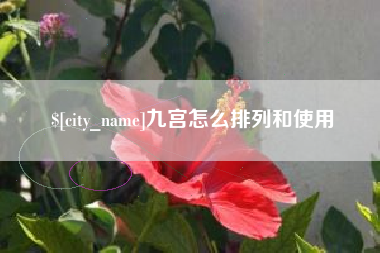 香港九宫怎么排列和使用