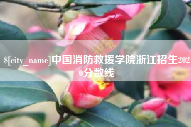 香港中国消防救援学院浙江招生2020分数线