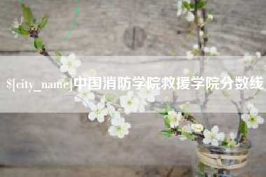香港中国消防学院救援学院分数线