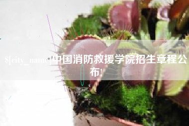 香港中国消防救援学院招生章程公布!