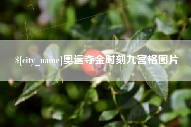 香港奥运夺金时刻九宫格图片