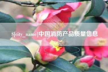 香港中国消防产品质量信息