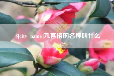 香港九宫格的名称叫什么
