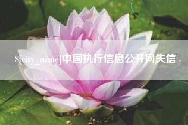 香港中国执行信息公开网失信